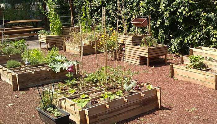 Potagers-et-vergers-paysagiste-Quesnot-Paysage