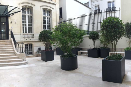 Plantes en pot, jardinieres, PARIS