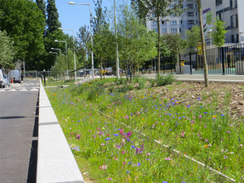 LA COURNEUVE -QUARTIER NORD